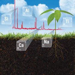 Plants Analysis LIBS