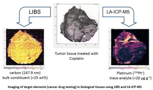 biological tissue analysis Biological Tissue Analysis